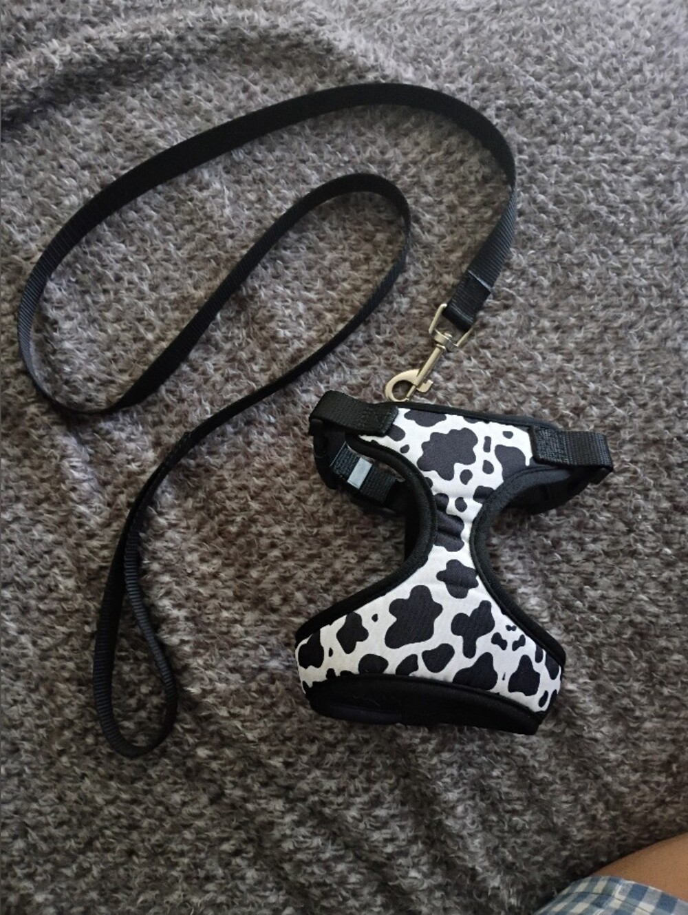 Cow Print Dog Harness with Leash - Black & White